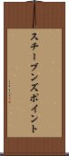 スチーブンズポイント Scroll
