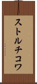 ストルチコワ Scroll