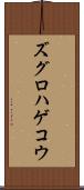 ズグロハゲコウ Scroll