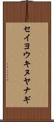 セイヨウキヌヤナギ Scroll