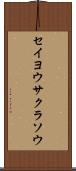 セイヨウサクラソウ Scroll
