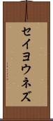 セイヨウネズ Scroll