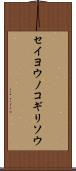 セイヨウノコギリソウ Scroll