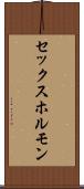 セックス・ホルモン Scroll