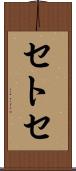 セトセ Scroll