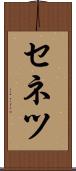 セネツ Scroll