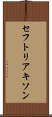 セフトリアキソン Scroll