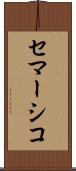 セマーシコ Scroll