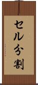 セル分割 Scroll