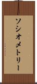 ソシオメトリー Scroll