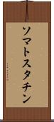 ソマトスタチン Scroll