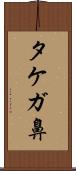 タケガ鼻 Scroll