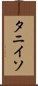 タニイソ Scroll