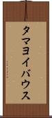 タマヨイバウス Scroll