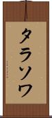 タラソワ Scroll