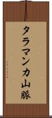 タラマンカ山脈 Scroll