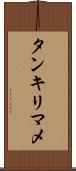 タンキリマメ Scroll