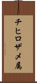チヒロザメ属 Scroll