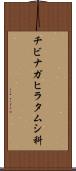 チビナガヒラタムシ科 Scroll