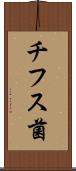 チフス菌 Scroll