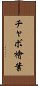 チャボ檜葉 Scroll