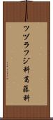 ツヅラフジ科 Scroll