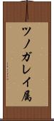 ツノガレイ属 Scroll