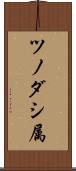 ツノダシ属 Scroll