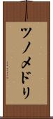 ツノメドリ Scroll