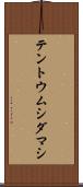 テントウムシダマシ Scroll