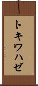 トキワハゼ Scroll