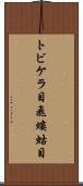 トビケラ目 Scroll
