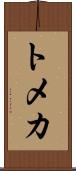 Tomeka Scroll