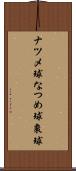 ナツメ球 Scroll