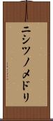 ニシツノメドリ Scroll
