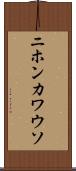 ニホンカワウソ Scroll