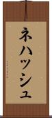 Nehash Scroll
