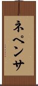 ネペンサ Scroll
