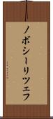 ノボシーリツェフ Scroll