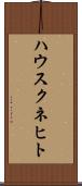 ハウスクネヒト Scroll