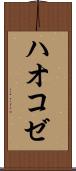 ハオコゼ Scroll