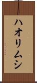 ハオリムシ Scroll