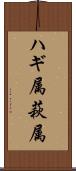 ハギ属 Scroll