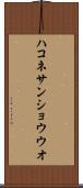 ハコネサンショウウオ Scroll