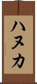 ハヌカ Scroll