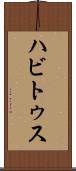ハビトゥス Scroll