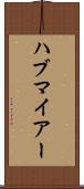 ハブマイアー Scroll