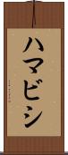 ハマビシ Scroll