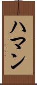 Hamann Scroll