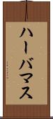 ハーバマス Scroll